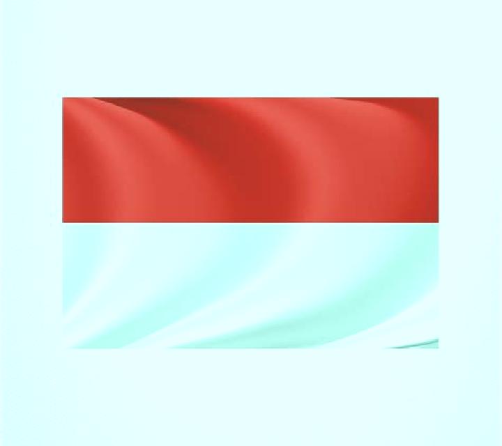 escort Jiucheng