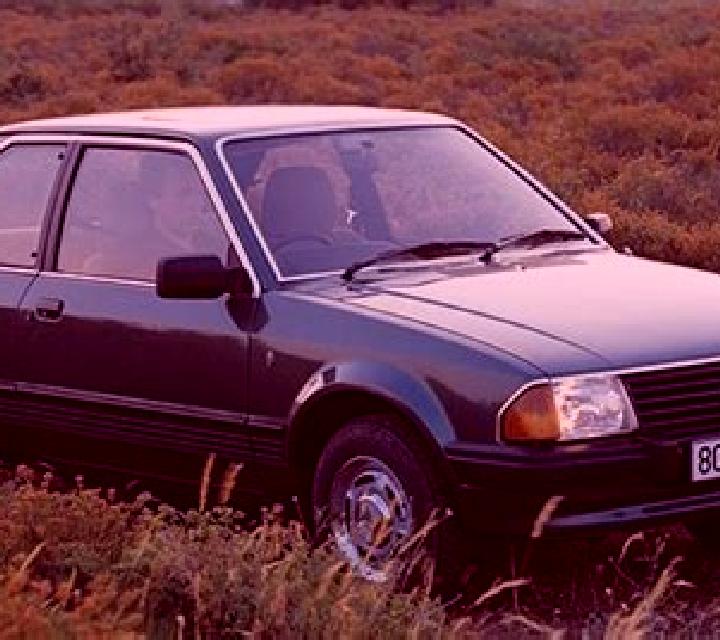 escort Kalk