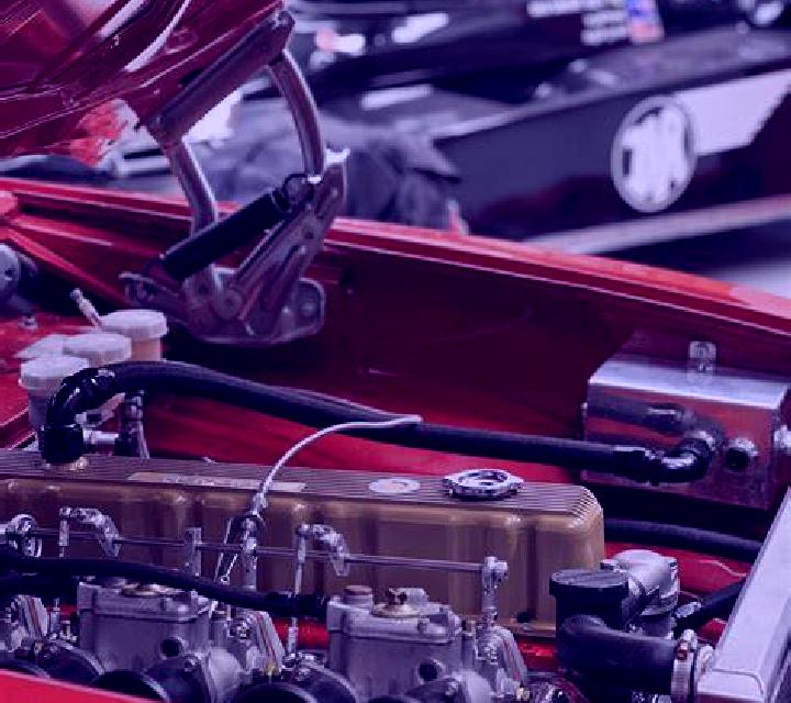 escort Katoya