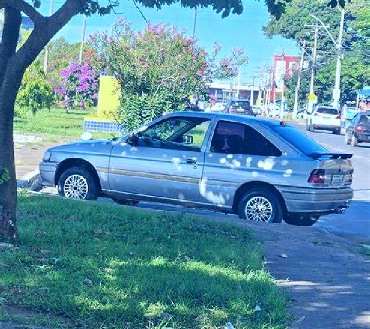 escort Komin