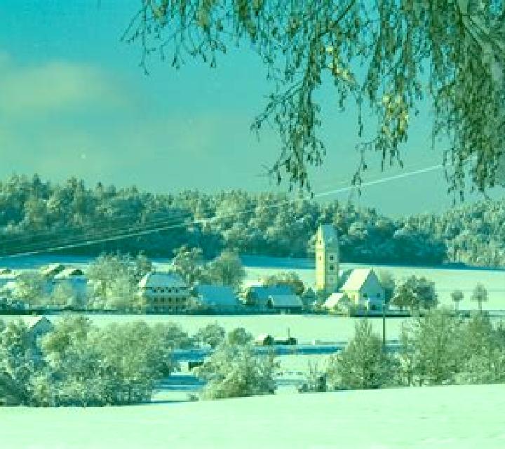 escort Krzyzanowice
