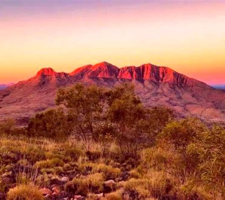 escort Larapinta