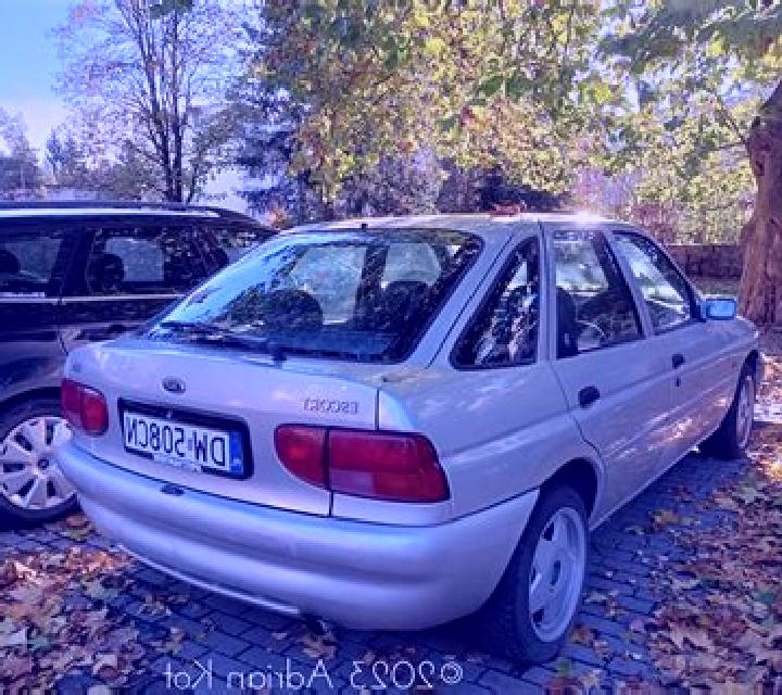 escort Lindl