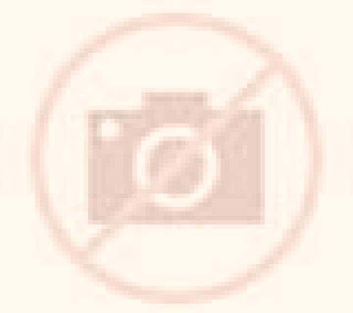 escort Lowertown