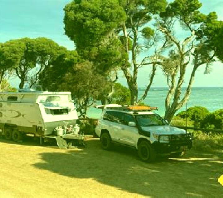 escort Masons Bay