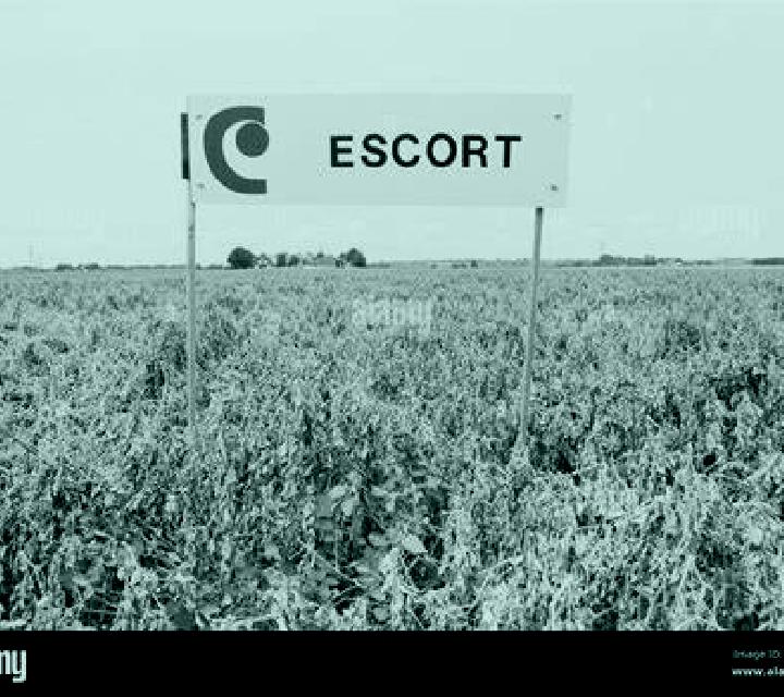 escort Mauth