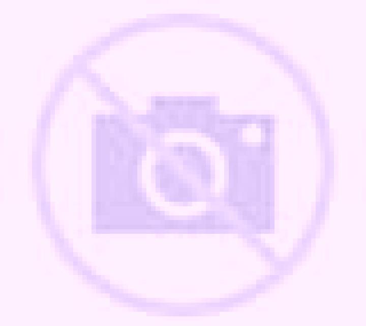 escort Memot