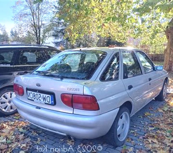 escort Merewether