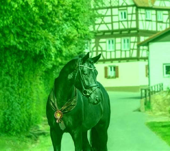 escort Mettenheim