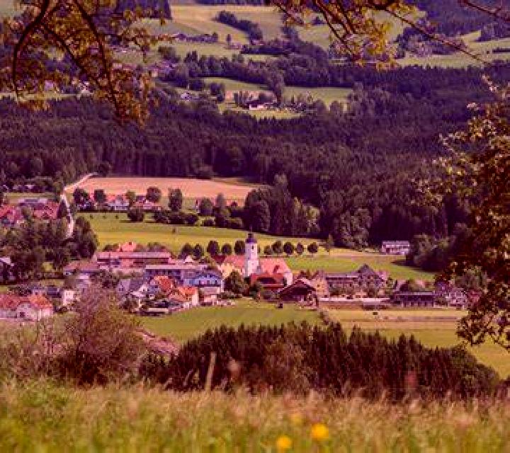 escort Miesenbach bei Birkfeld