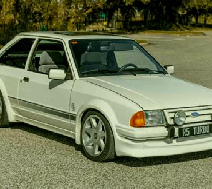 escort Millepini