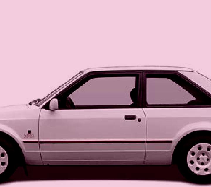 escort Newhaven