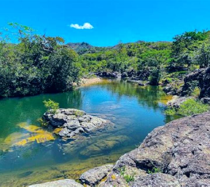 escort Nichen