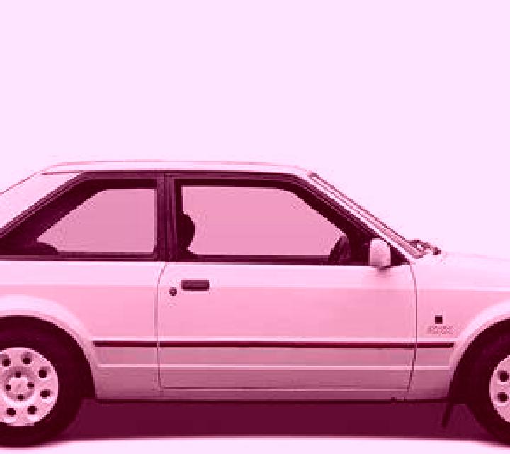 escort Niemce