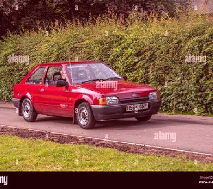 escort NirDavid