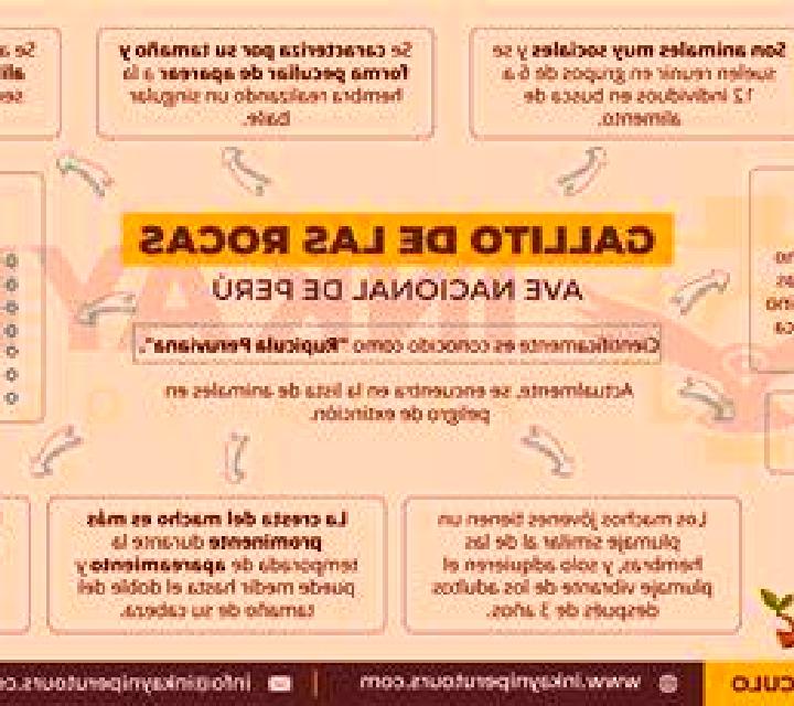 escort Novo Milosevo