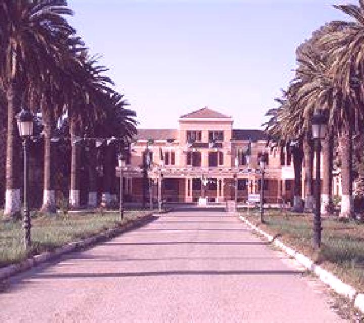 escort Novomyrhorod