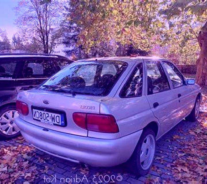 escort Oberaudorf