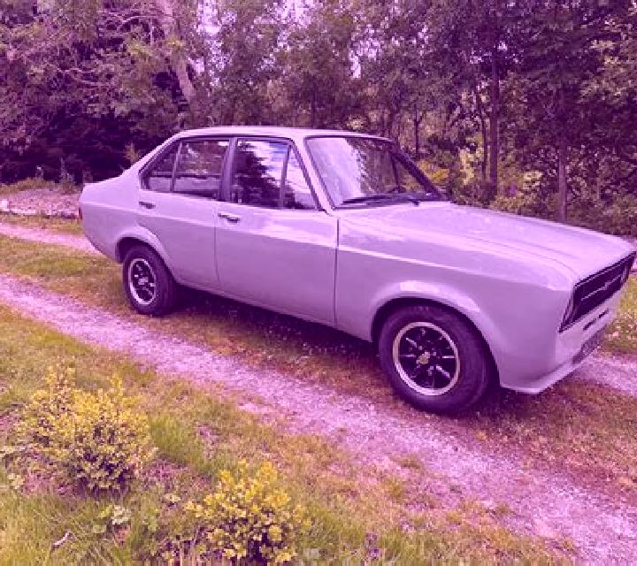 escort Olhynka