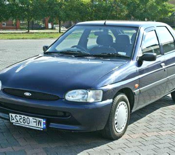 escort Orzignano