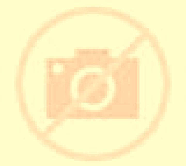 escort Oulad Said