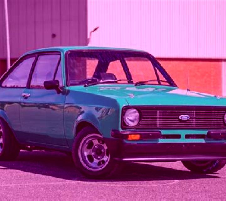 escort Paltin