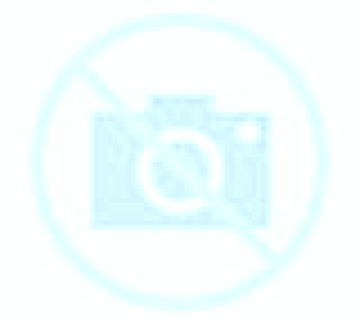 escort Pauca