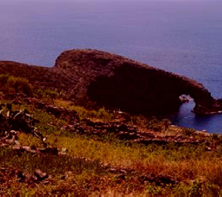 escort Privateer