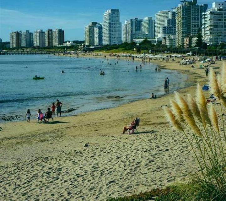 escort Punta del Este