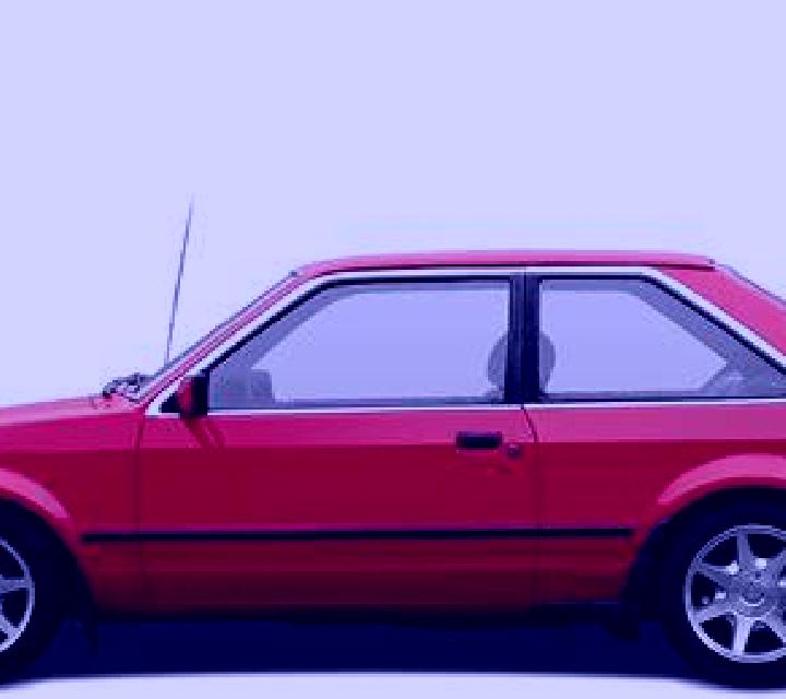 escort Radviliskis