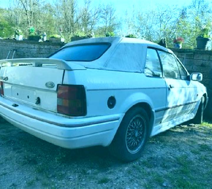 escort Ravno Selo