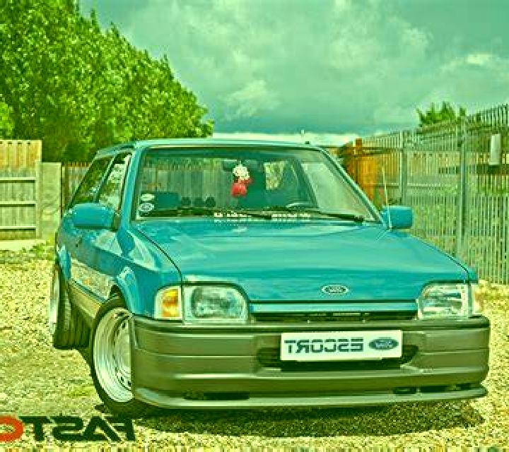 escort Sallgast