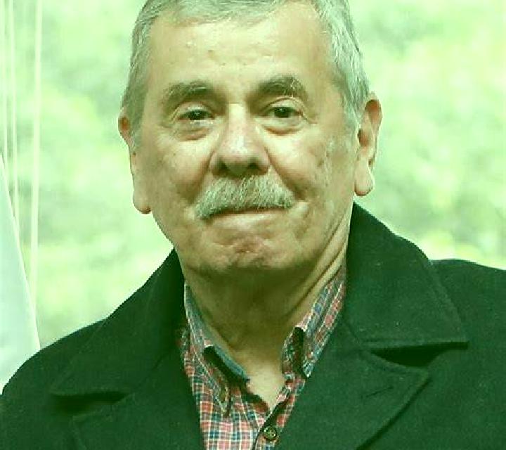 escort Salmon Arm