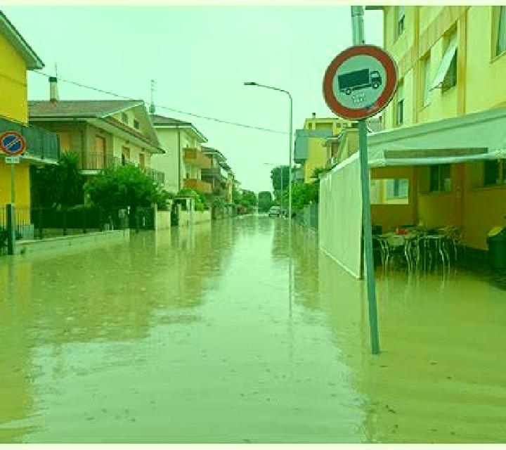 escort Senigallia
