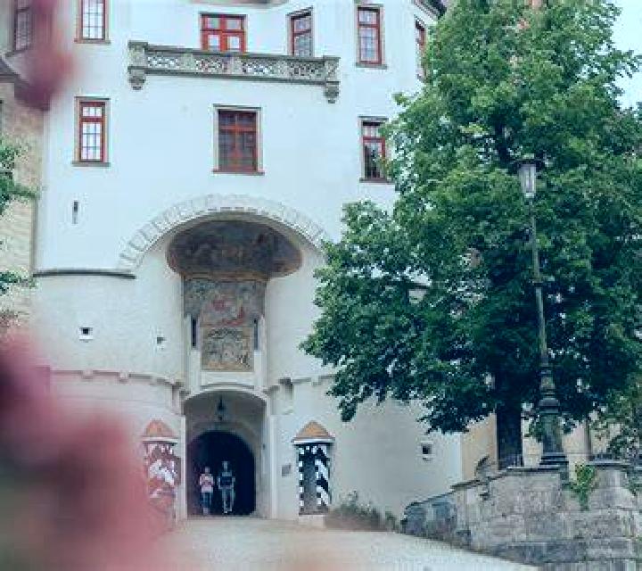 escort Sigmaringen