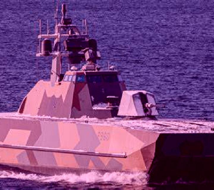 escort Skjold