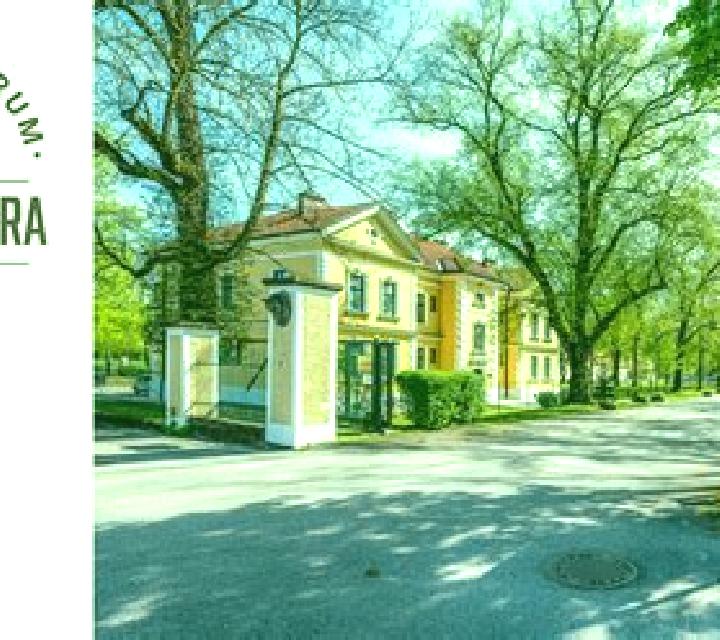escort Stadl-Paura