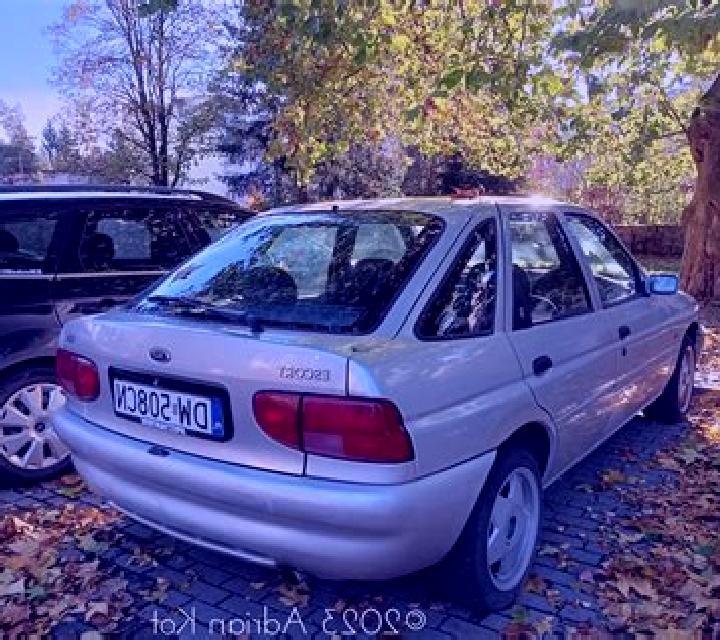 escort Steenfeld