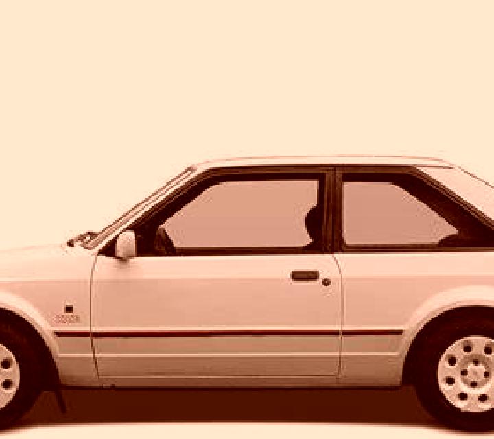 escort Steimel