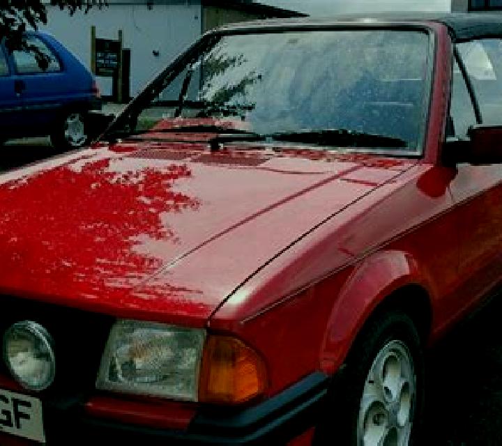 escort Strelcha