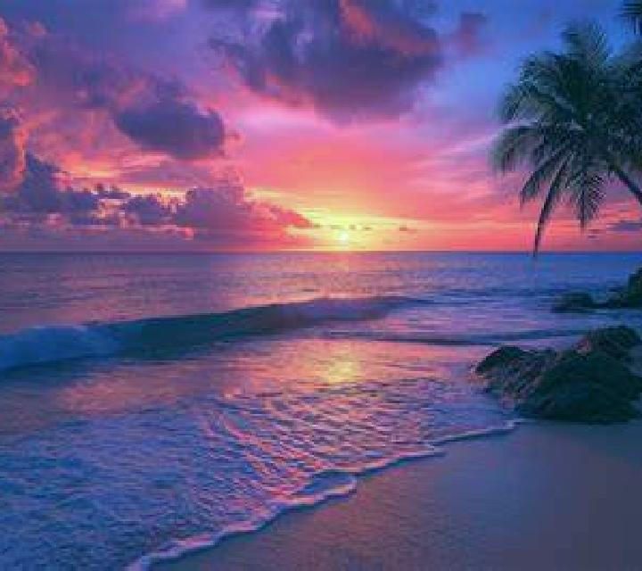 escort Sunset Beach