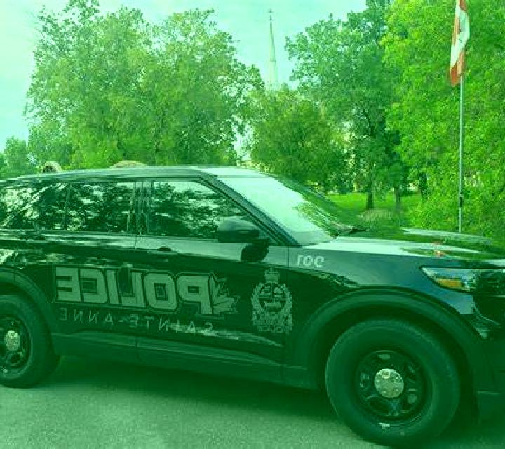 escort Tercan