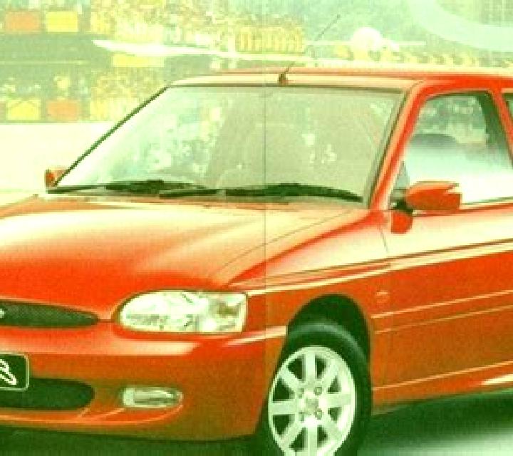escort Thonhausen