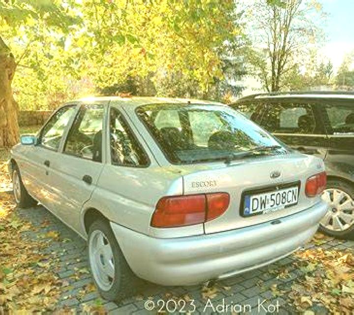escort Tlabung