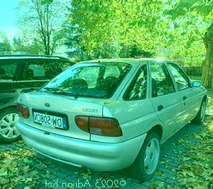 escort Vetrino