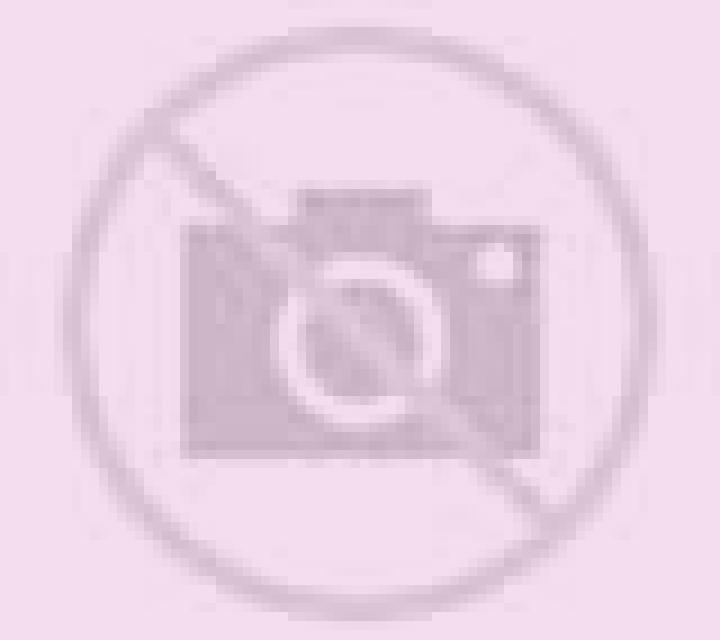 escort Wahpeton