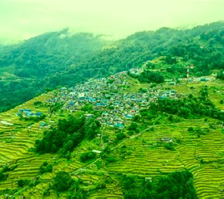 escort Wasmes