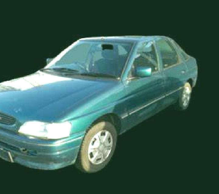 escort Wilskerke