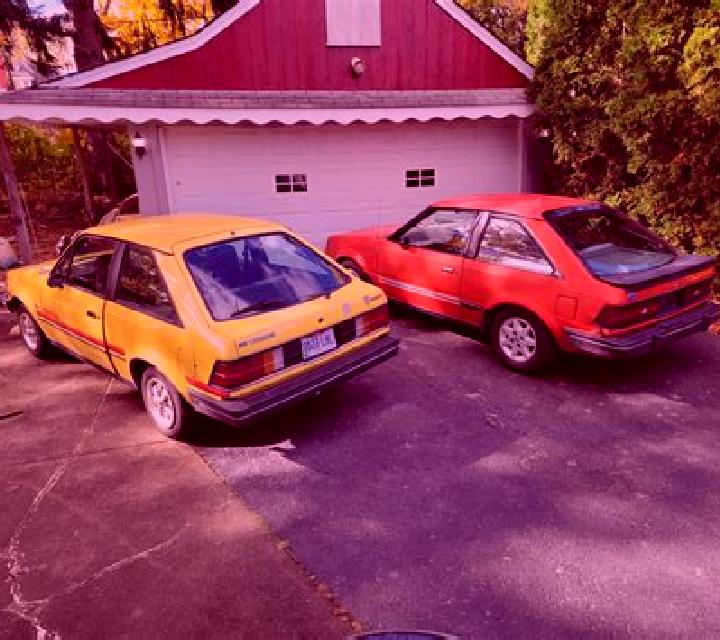 escort Winthorpe