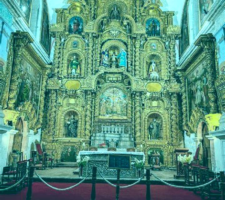 escort Withamsville